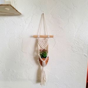 Faux plant in hanger.